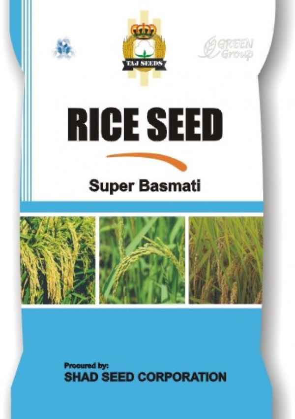 Rice seed